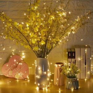 Led String Lights Waterproof Christmas Valentines day Copper Wire String Fairy Lights Battery Powered