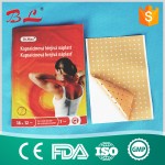 Lot Relief Back Pain Patch Capsicum Plaster Relief Aches Pains