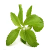 Manufacture stevia white extract powder price