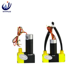 Mini 12V/24V DC Motor Electrical High Pressure Liquid Air Diaphragm Booster Pump-jby-bp800-bldc