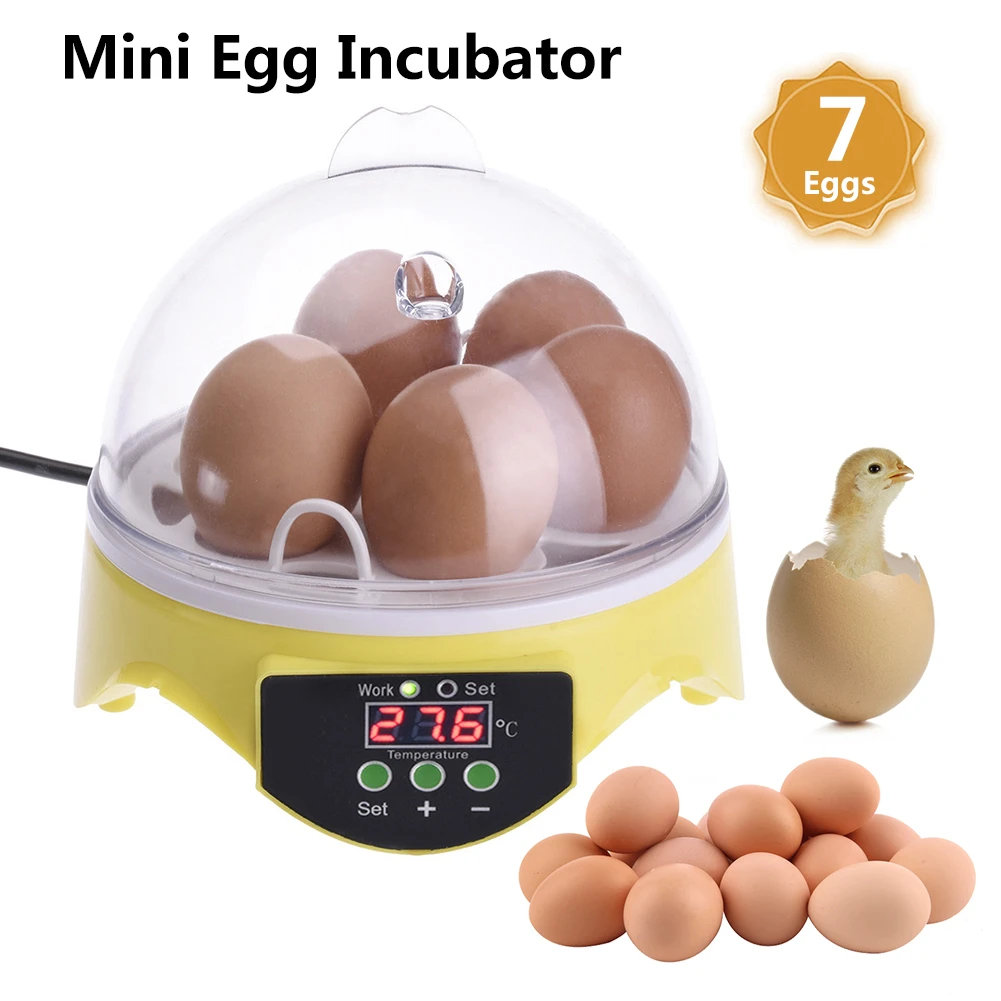Mini Egg Incubator Automatic Incubator Duck Bird Egg Small Poultry Incubator Digital Chicken Breeding Box