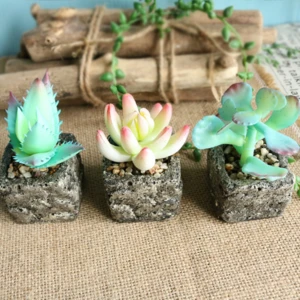 mini fake plant artificial succulent plant for wall