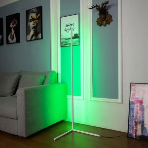 Modern Minimalist LED Corner Floor Lamp with Remote Control RGB Color Changing Standing lamp Soft Lighting Home Minimalism Warm