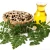 Import Moringa Oil for Skin, Hair and Health from India