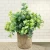 Import mothers day gift fake eucalyptus with flowerpot set home decoration potted green plant artificial house plants from China