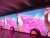 Import nationstar  P2.5 p3 p4 p5 indoor led display pane  p4 p5 p6 led video wall/ SMD led billboard from China