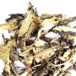 Natural dried Ligusticum sinense  for herb medicine