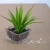 Import Natural look high quality artificial plant bonsai potted plant with favorable price from China
