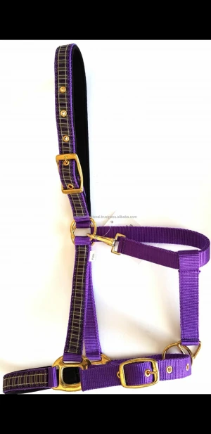 New colourful and adjustable pp horse halters