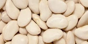 New Crop 2017 Lima Beans/Lima Beans / High Quality Lima Beans