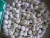 Import New Crop 5cm-6.5cm pure white and normal white fresh garlic from Netherlands