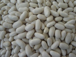 New crop price of baishake white kidney beans from China