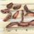 Import New Product Hot Sale Candied Fruit Dry Peach Strip from China