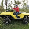 New Products EPA Passed 4 Stroke 2 Seat Cheap amphibious vehicles for sale atv
