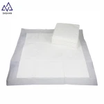 OEM Disposable Pet Underpad Custom Size Dog Training Pad