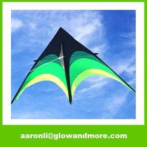 OEM High Quality Portable Foldable Durable Kid Kite Surfing