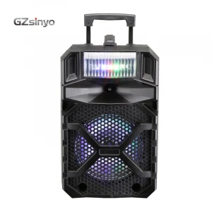 OEM LT-808 8 Inch  Outdoor Portable speaker  DJ Subwoofer Sound Box With LED Light