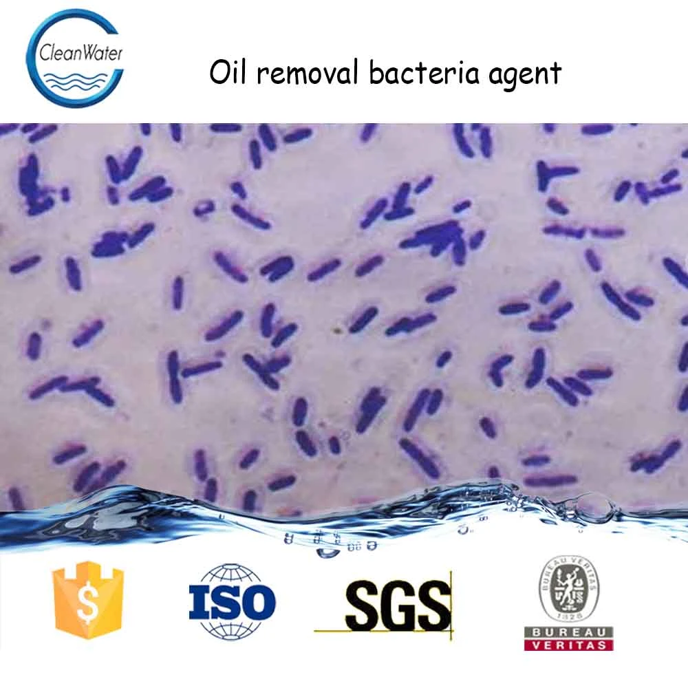 Oil removal bacteria agent Cleanwater Chemicals