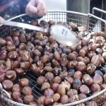 Organic Fresh and Dry Chestnut Wholesale