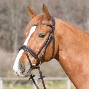 Original Leather Halter OEM Horse Riding Equipment Horse Bridle Leather Head Collar With Strong Buckle grip.