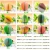 Import OXGIFT China Wholesale Factory Price Custom cute korean fruit vegetable school supplies office stationery products set  items from China