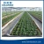Import PE 16mm automatic plant watering system from China