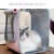 Import Pet Travel Bags Large Space Out Portable Breathable Cat Backpack Pet Shoulder Bag from China