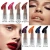 Import PHOERA Factory Wholesale Multicolor Makeup Lipstick Long Lasting Customized Matte Lipstick from China