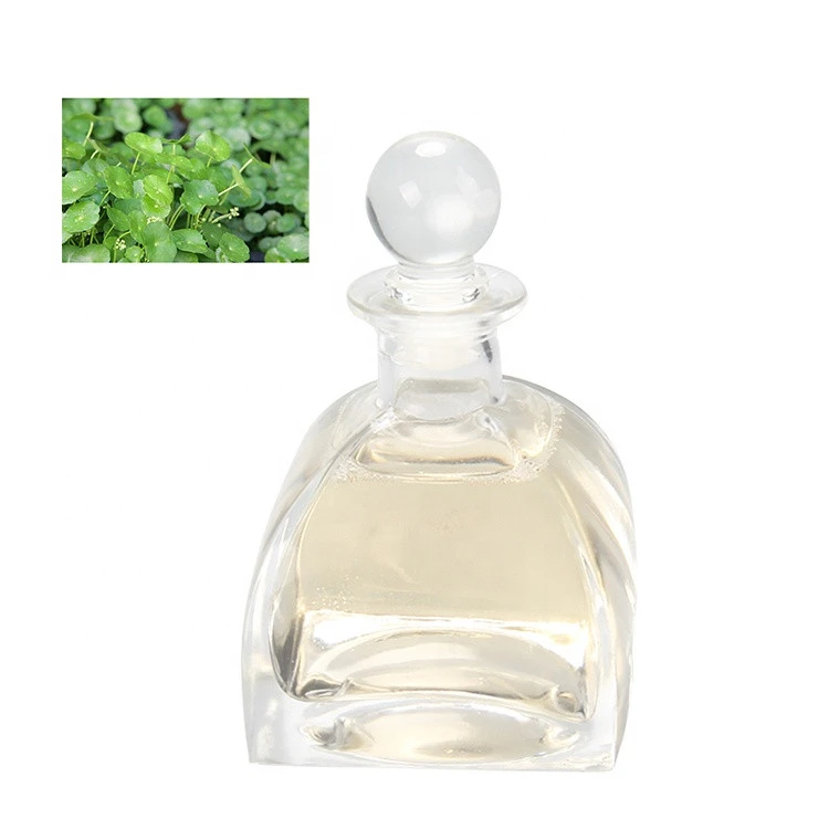 plant extraction organic extract of medicinal herbs liquid organic Centella asiatica for cosmetic ingredients
