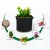 Import Plastic Flet High quality garden growing 5 gallon planting bag from China