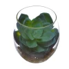 Plastic mini artificial succulent plant bonsai with pot for decoration
