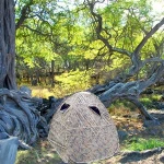 Portable hunting tent camouflage blinds hunting for outdoor