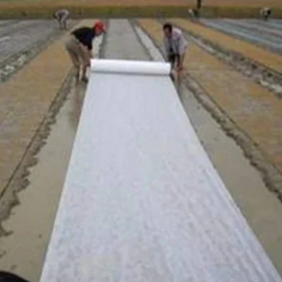 PP Spunbond Roll Nonwoven Fabric Price Per Kg/Wholesale Low Price Ground Cover Mulching Film