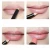 Import Professional Cosmetic Wood material matte Long-lasting Lip Liner Make up Pencil from China