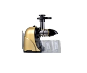 Professional Slow Masticating Juicer Extractor with  Anti-drip Mouth, Quiet Motor, Ideal for Nutrient Fruit and Vegetable Juice