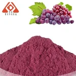 pure natural high quality OPC 95% grapefruit seed extract