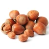 raw hazelnuts in shell	, Roasted , Organic , High Quality