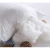 Import recycled polyester fabric 	 polyester staple fiber from China