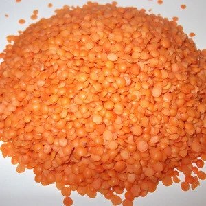 Red and Green Lentils /Split Red Lentils/ Red Whole Lentils