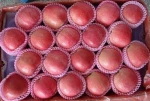 Red Delicious Apple, Royal Gala Apple ,Granny Smith Apple Autumn Gold Apple