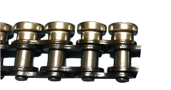 Quality Grade Roller Chain with Slide Wheels
