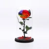 roses DIY preserved rose head decorative real eternal flower in glass dome