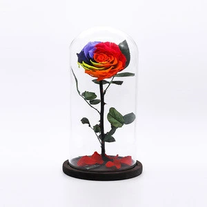 roses DIY preserved rose head decorative real eternal flower in glass dome