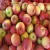 Import Royal Gala Apples For Sale/Fresh Apples Ready For Export from Germany