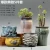 Import rslee design  ceramic pots succulent plants tea pot ceramic from China