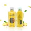 RTS top quality Natural Organic  ginger super silky  smooth shampoo with deep Cleaning  shampoo