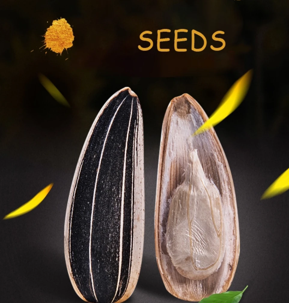 Safflower seeds / Superior Grade Varied Original Sunflower Seed kernels For Sale / Very High Compitative Price and Affordable