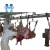 Import Sheep goat slaughter equipment sheep and goat skin removed equipment from China
