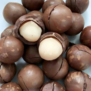 Shell Macadamia Nuts grown in Australia 25 kilogram bags