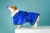 Import Soft Fast Drying Pet Cats Microfibe Dog Bathrobe Coat Robe Towel for Puppy Small Medium Large Dogs from China